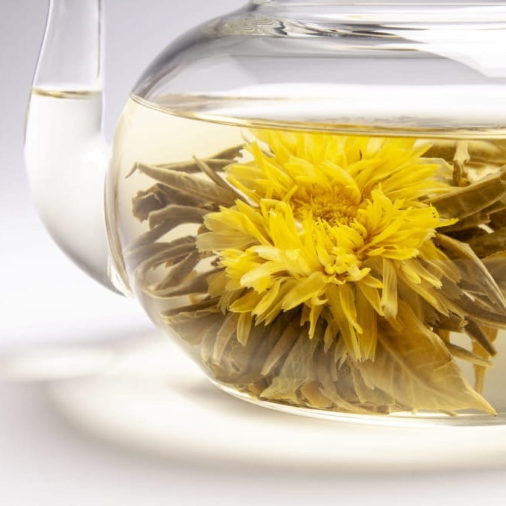 Herbata Rozkwitająca Marigold, ręcznie zwijana biała herbata z kwiatem amarantusa po rozwinięciu