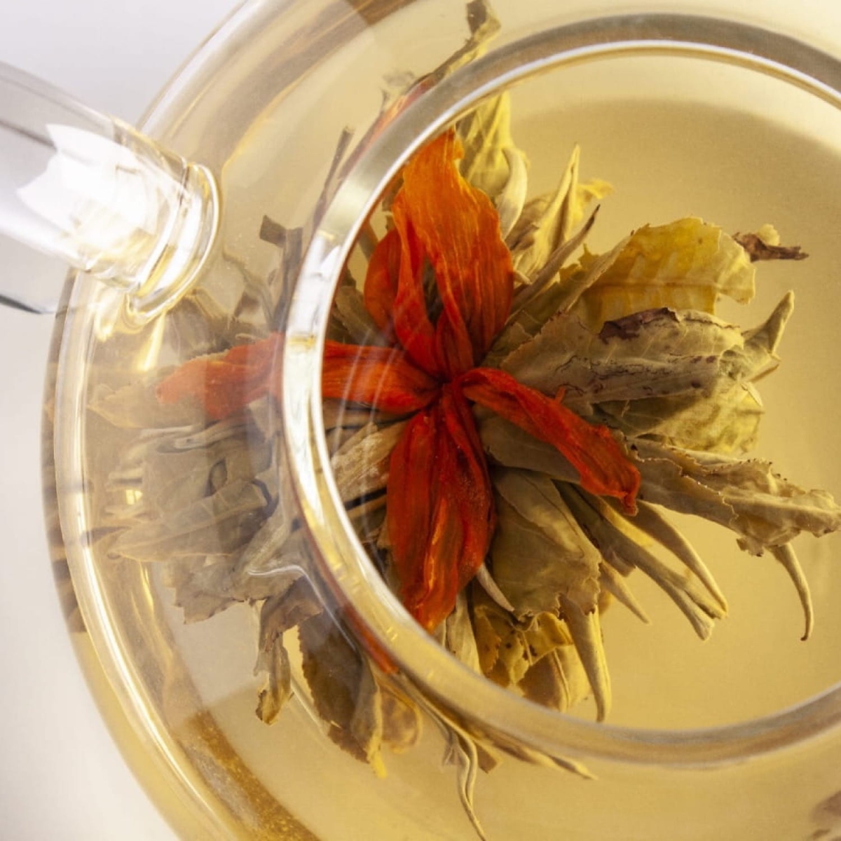 Herbata rozkwitająca Century Love z pomarańczową lilią, po rozkwitnięciu w ciepłej wodzie.